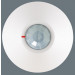 Motion Detector (DG-467)