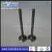 Ne6 Auto Engine Valves for Nissan