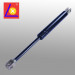 OEM Nitrogen Gas Filled Lift Spring for Automobile