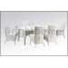 Outdoor Dining Set Chair and Table (BG-119)