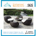 Outdoor Furniture Garden Furniture Rattan Chair Table Dining Set (ICE-023)
