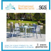 Outdoor Furniture Garden Furniture Rattan Dining Table Chair (FD-050I)