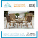Outdoor Furniture Garden Furniture Rattan Dining Table Chair (FD-072I)