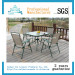 Outdoor Furniture Garden Furniture Textilene Chair Table Dining Set (ICE-051)