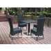 Outdoor Furniture/PE Rattan Furniture/Dining Set/ Wick Furniture/Garden Furniture