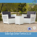 Outdoor Furniture/PE White Rattan Garden Sofa