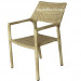 Outdoor Garden Furniture Aluminum Rattan Garden Chair (S219)