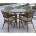 Outdoor Garden Furniture Made in China Chair Factory (D593; S293)