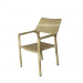 Outdoor Leisure Furniture Rattan Wicker Leisure Chair (S219)