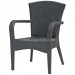 Outdoor PE Wicker Arm Chair (RC-06010)