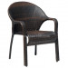 Outdoor PE Wicker Arm Chair (RC-06019)