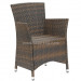 Outdoor PE Wicker Dining Armchair (RC-06023)
