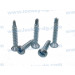 Oval Head Phillips Self Drilling Screw