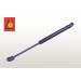 PA66 Piston Rod Lift Nitrogen Gas Spring Gas Pump