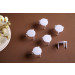 Pizza Table Pizza Plastic Table Pizza Dinnertable