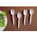 Plastic Fork PP Fork PS Fork Mini Fork Mini Spork
