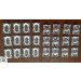 Plastic Injection for Tetragonal Angle (peanuts) Lens