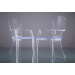 Popular Design Acrylic Leisure Chair for Living Room with Armrest