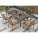 Popular Modern Dining Furniture Cast Aluminum Dining Table (SZ216; SD516)