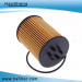 Pressure Resistance Auto Oil Filter for Jianghuai (D19TCL-13230-1)