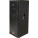 Professional DJ Wooden Speaker Box Outdoor Stage Speaker Evp-212