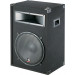 Professional DJ Wooden Speaker Box Outdoor Stage Speaker Pw-12