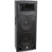 Professional DJ Wooden Speaker Box Outdoor Stage Speaker Sp-215