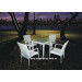 Rattan Furniture/Garden Furniture/Outdoor Furniture-Dining Set