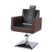 Reclining with Headrest Hair Salon Furniture Chair (MY-011)