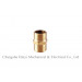 Reducing Hex Nipple with Brass