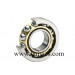 Roller Bearing