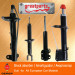 Shock Absorber for Euro Auto Shock Absorber