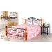 Simple Stable Home/Bedroom Furniture Painting Steel Bed (H-552#)