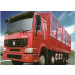 Sinotruk 8X4 HOWO Cargo Truck LHD Drive