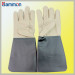 Sm1055 Professional Oven Glove
