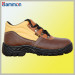 Sm3001 Acid and Alkali Resistant Safety Shoes