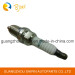 Small Engine Spark Plug for Sk20br11 (90919-01230)