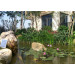 Small Solar Water Fountain
