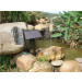 Solar Water Fountain Pump Gy-F-028