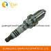 Spark Plug Wholesale for Audi (101000033AA BKUR6ET-10)