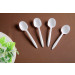 Spoon Plastic Spoon Soup Spoon Tea Spoon
