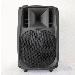 Stage Speaker Box PS-1515