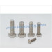 Stainless Steel 304/316 Hex Bolt