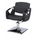 Stainless Steel Armrest Styling Chair for Salon Furniture (MY-007-88)