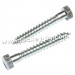 Stainless Steel Coach Screw Lag Screw Hex Wood Screw