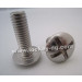 Stainless Steel Mushroom Head Roofing Bolt