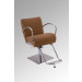 Stainless Steel Salon Chair of Salon Furniture (MY-007-96)