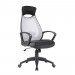 Swivel Staff Visitor Mesh Office Chair (FS-1023)