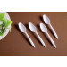 Teaspoon Tea Spoon PP Spoon Pure Virgin Material
