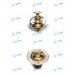 Thermostat/JAC Parts/Auto Parts